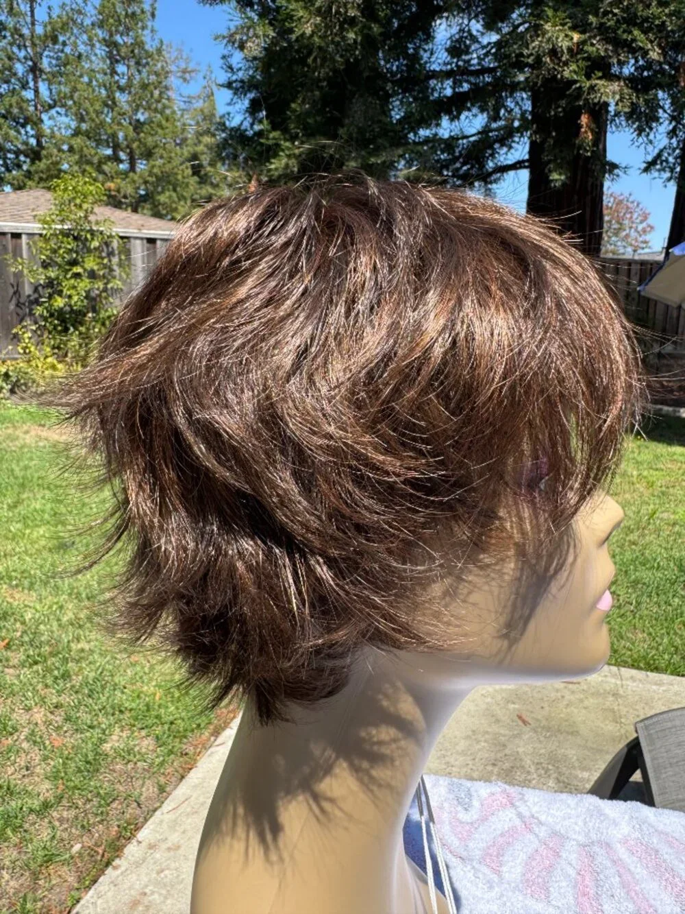 Rene of Paris Wig